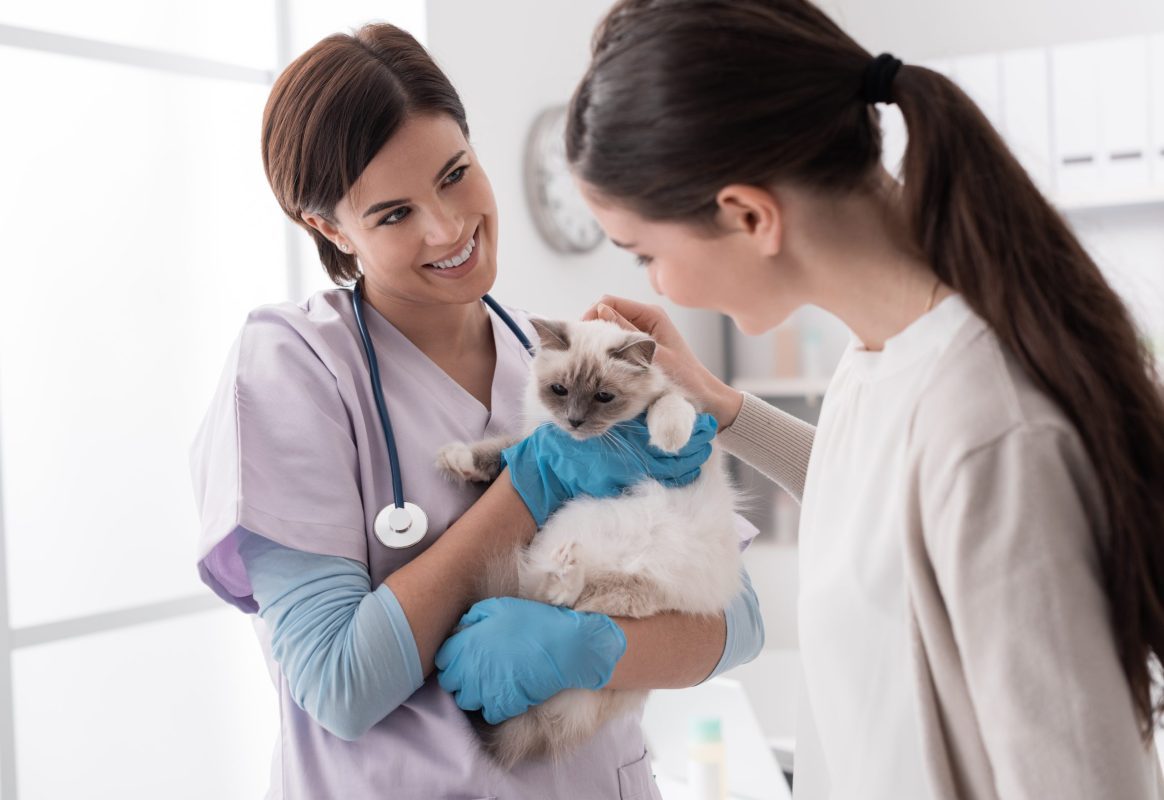 veterinary doctor with client and patient