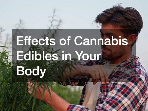 Effects of Cannabis Edibles in Your Body
