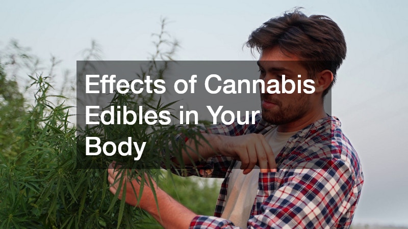 Effects of Cannabis Edibles in Your Body