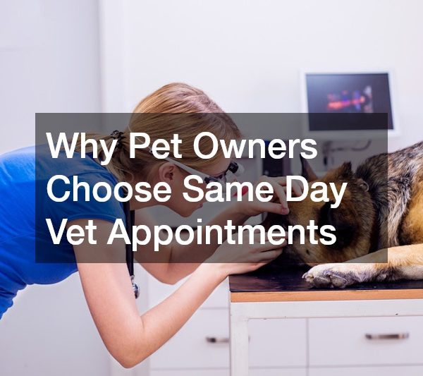 Why Pet Owners Choose Same Day Vet Appointments