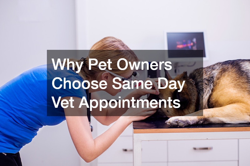 Why Pet Owners Choose Same Day Vet Appointments